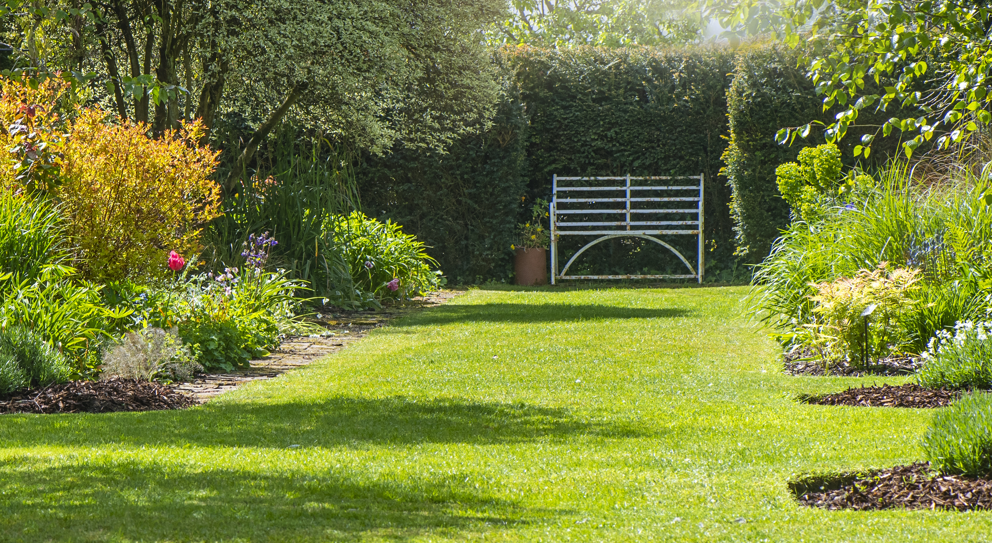 July Lawn Care Checklist